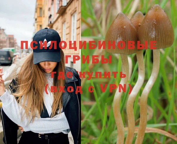 мескалин Магас