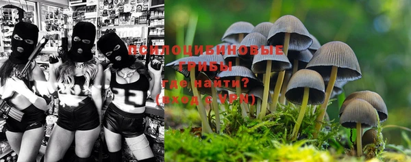 марихуана Магадан