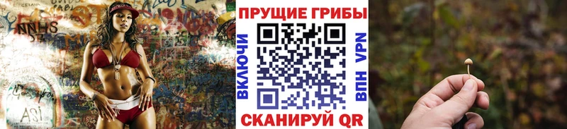 Галлюциногенные грибы мухоморы  гидра зеркало  Ленинградская 